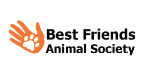 BFAS Logo